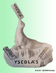 yscola-zeeleeuw-1-01